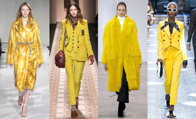 Calvin Klein, Trussardi, Ellery, Dolce & Gabbana